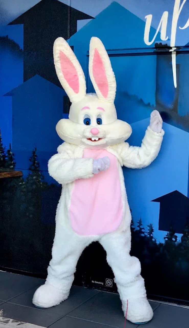 White bunny mascot in a pink waistcoat waving in front of a painted backdrop