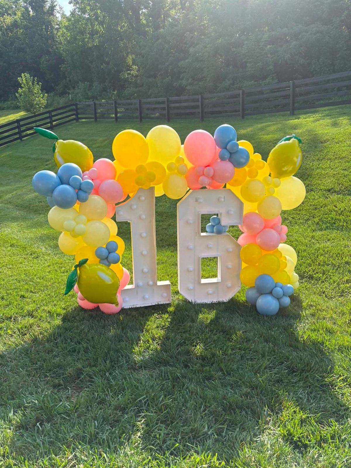 Lit marquee 16 numbers wrapped in a pastel balloon garland of yellow, pink and blue with foil lemon balloons on a lawn
