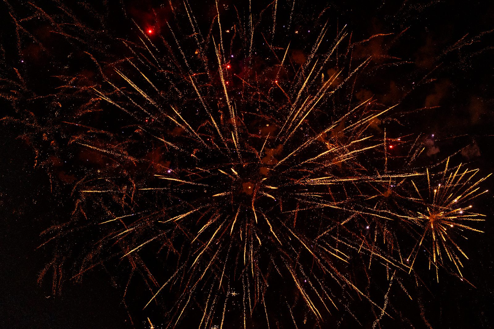 Golden fireworks bursting across a black night sky in radiant sparkling starbursts